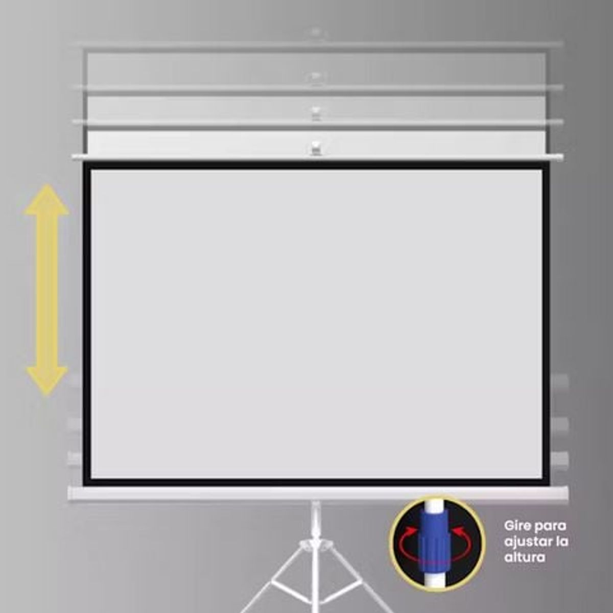 GENERICO - Pantalla Telón de Proyección Trípode 205 x 205 cm