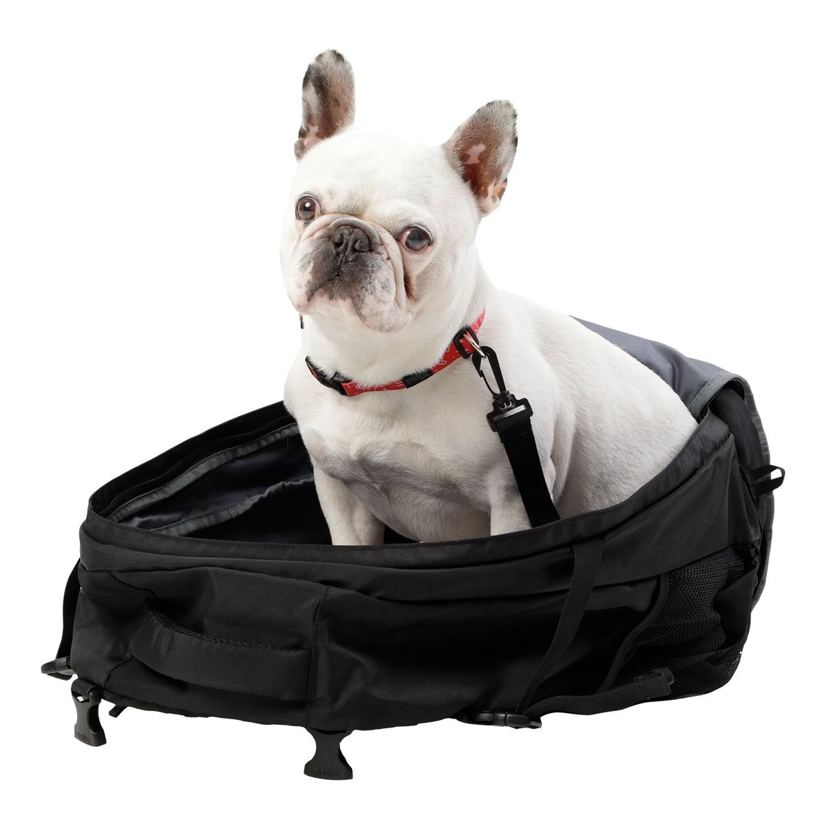 TOTTO - Cargador Para Perros Meraki Negro Grande