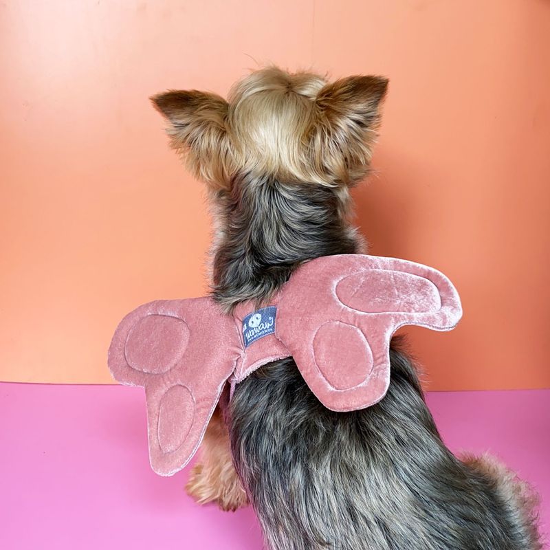 WAWAW - Alas para perro  talla M Mariposa rosado Halloween Wawaw