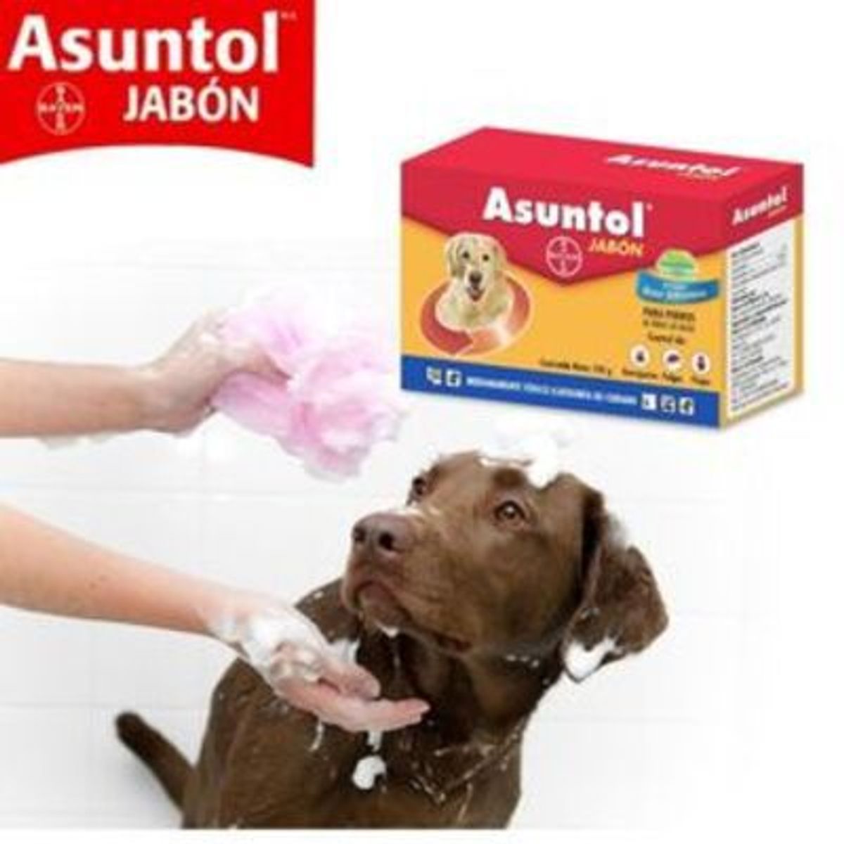 BAYER - JABON ASUNTOL X 100 GRS