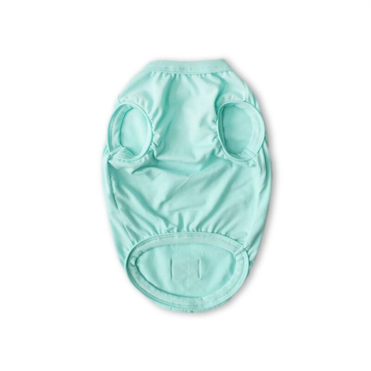 WAWAW - Esqueleto para perro  talla XS menta corazón y flecha papá Wawaw