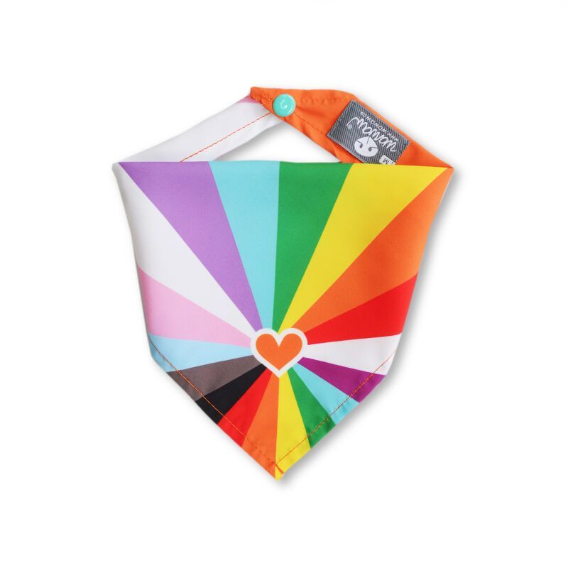 WAWAW - Pañoleta para perro talla XL diversidad corazón Wawaw