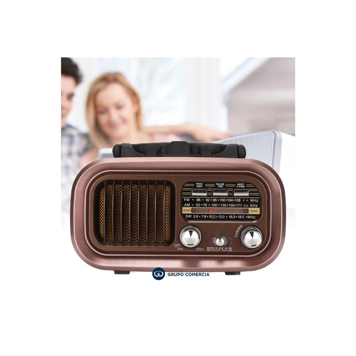 DIANSHENG - Radio Retro Potente Grande Multibandas Am Fm Bluetooth