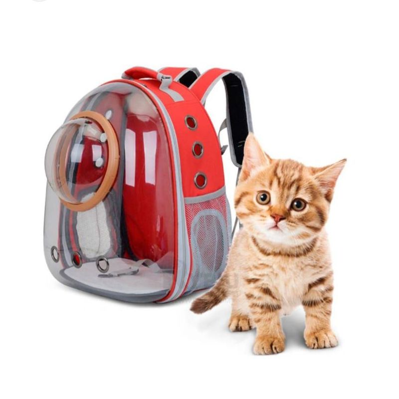 INFANTILES CAJUROMIX - Maleta Para Mascotas Burbuja Malla Mas Obsequio