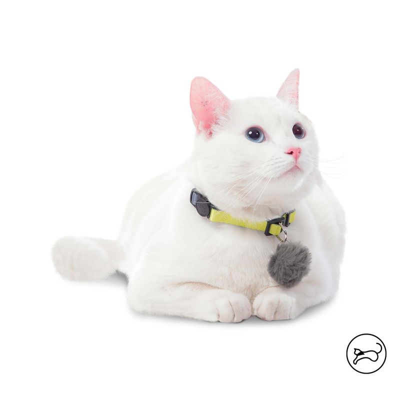 TOTTO - Collar ajustable Meow para gato