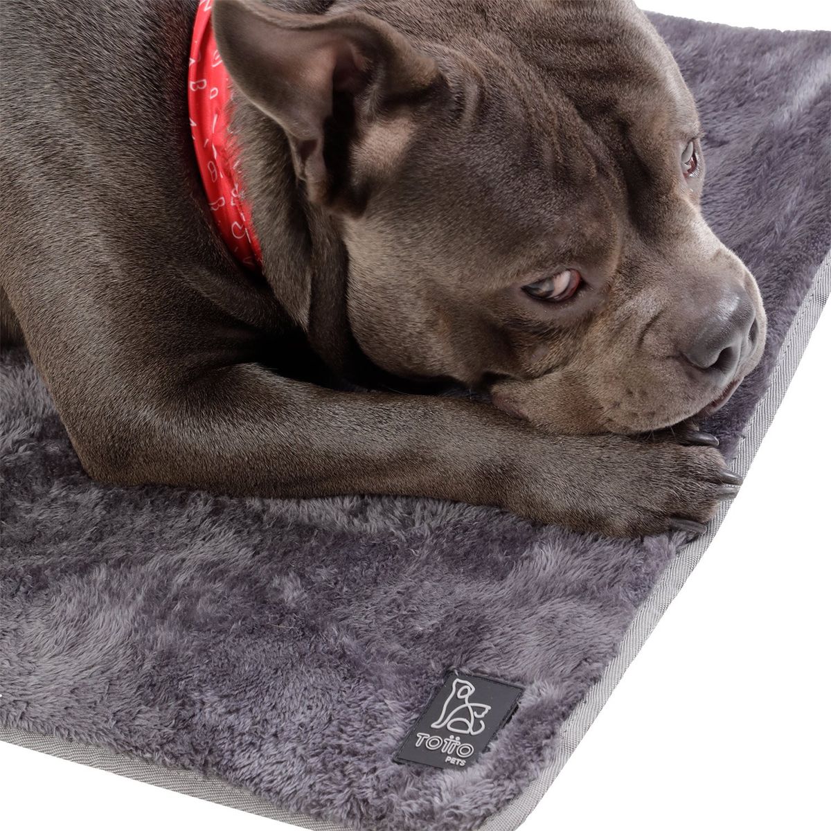 TOTTO - Cama Plegable Portatil Sherpy Mediano Gris