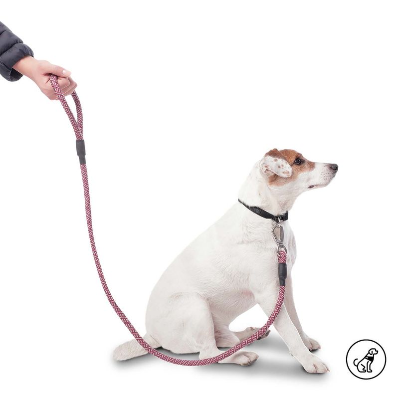 TOTTO - Correa para Perro Sencilla Nolan Rojo