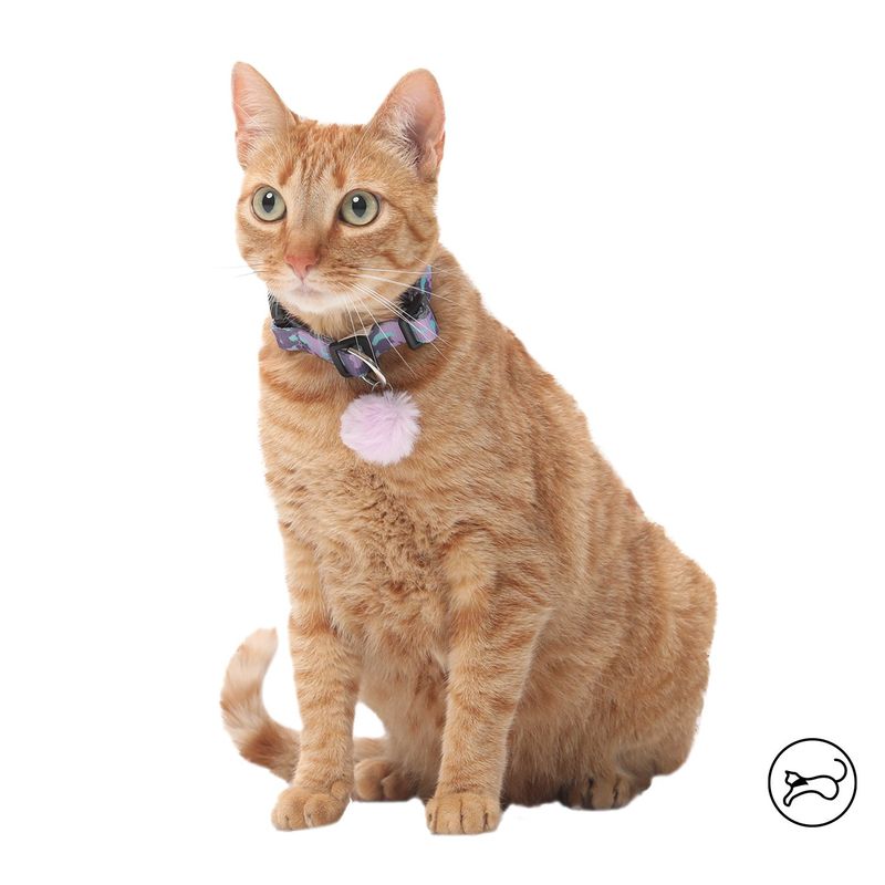 TOTTO - Collar Para Gato Michi Morado