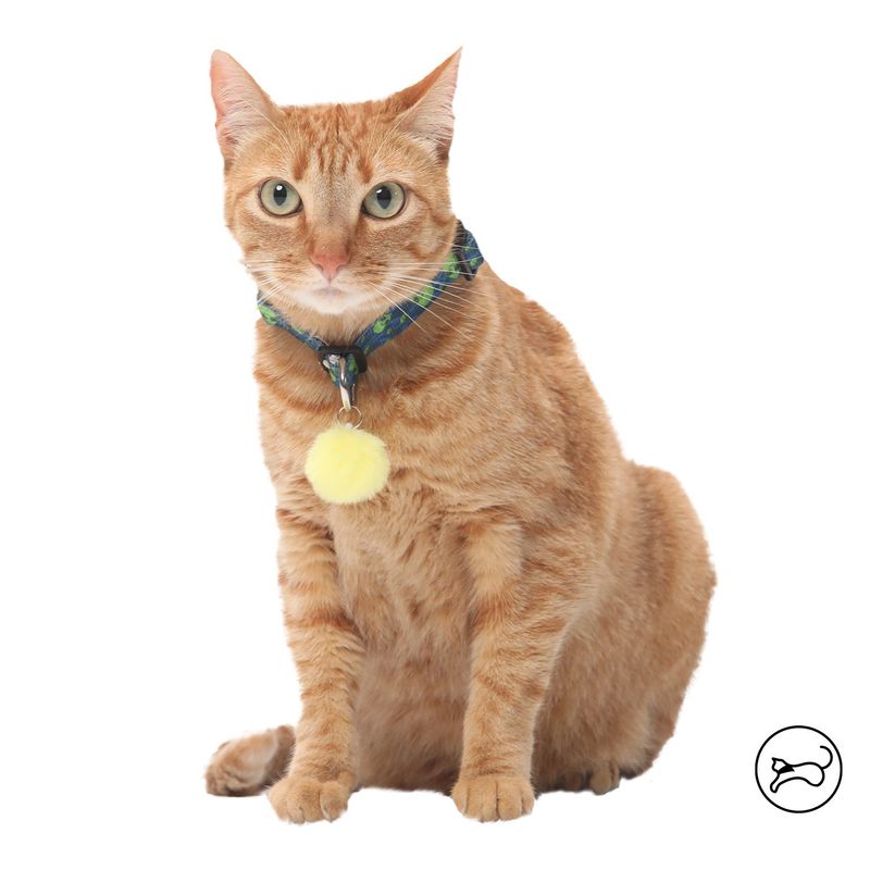 TOTTO - Collar Para Gato Michi Azul