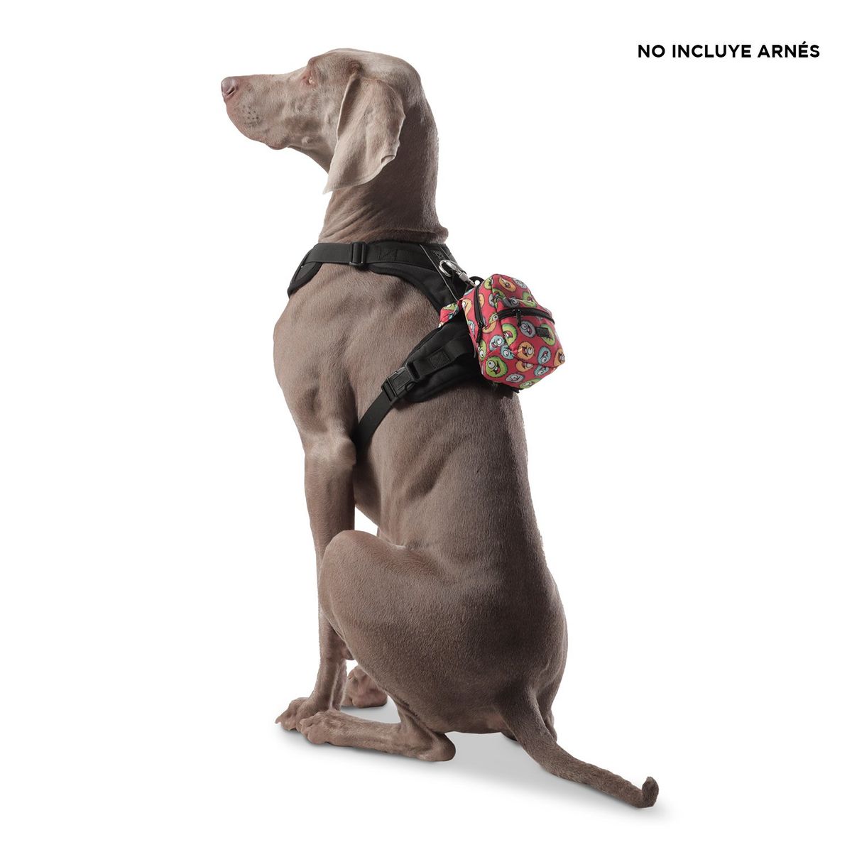 TOTTO - Morral Mini Gary para mascota