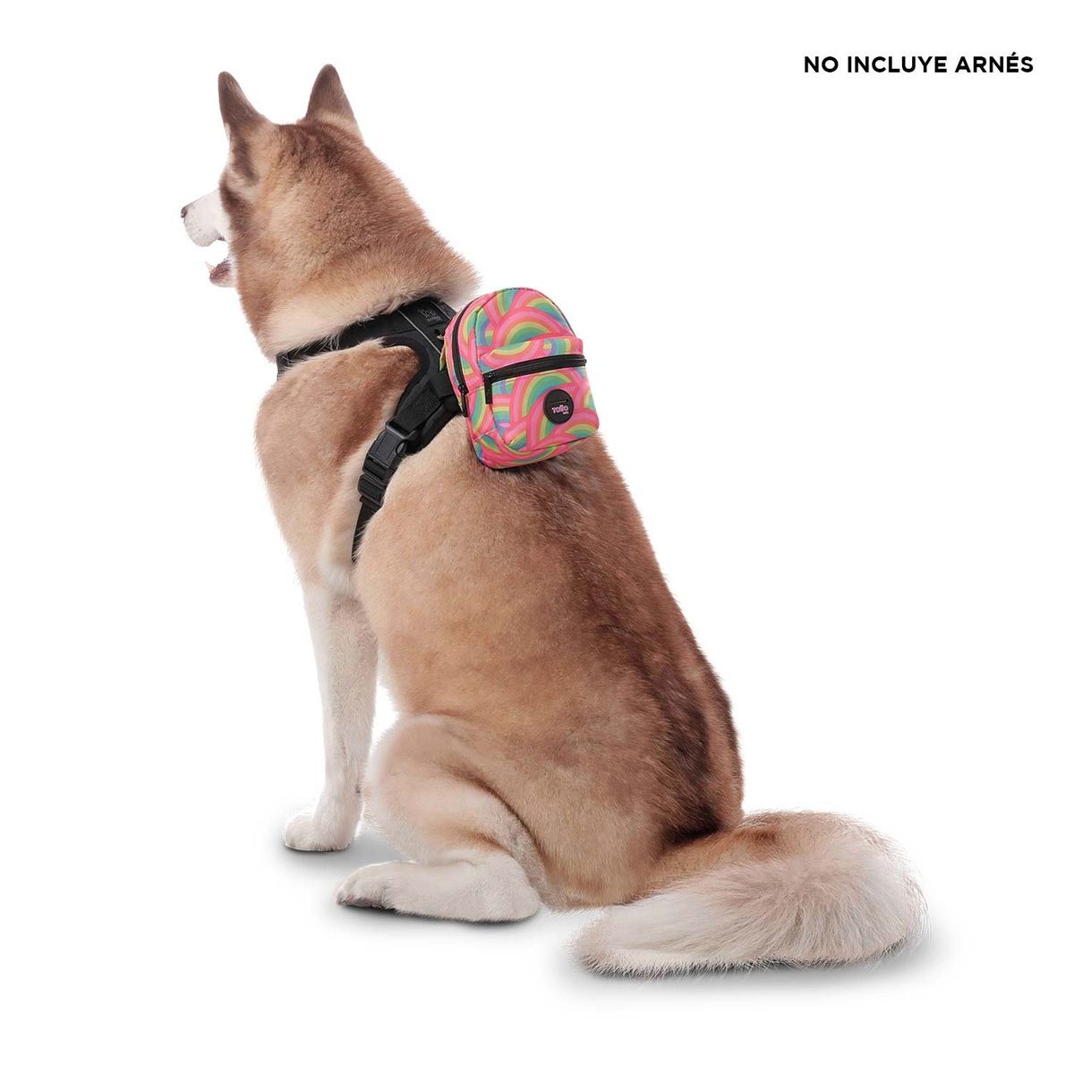 TOTTO - Mini Morral para perro Gary Rosado