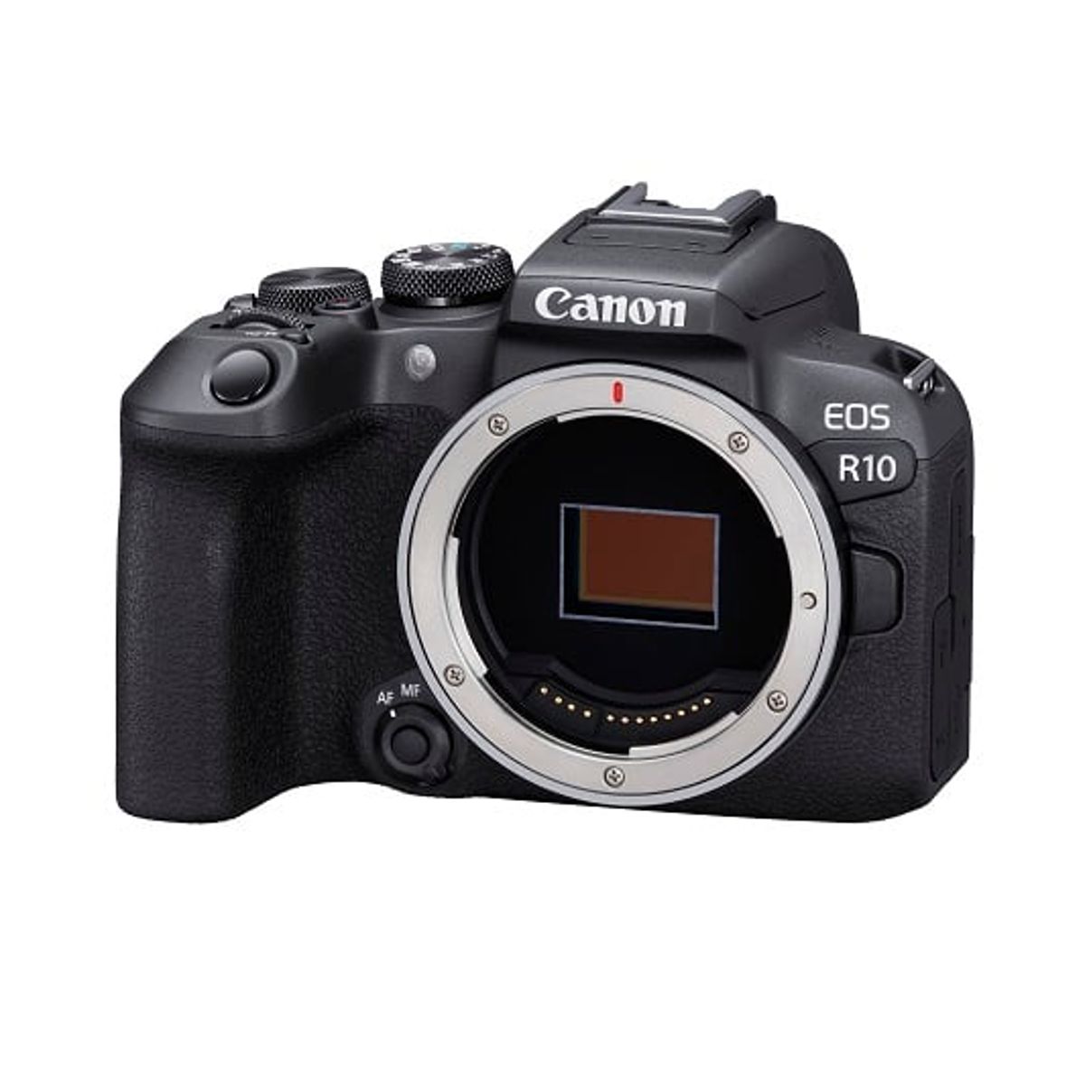 CANON - CAMARA CANON  R10 SOLO CUERPO NEGRO