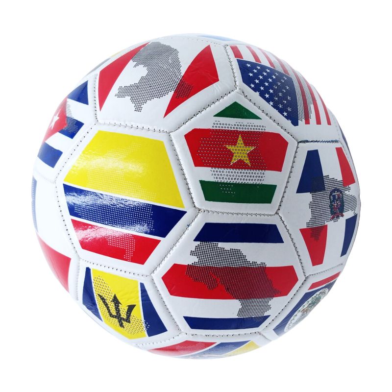 WILSON - Balón de Fútbol Recreacional Copa América 2024 No.5