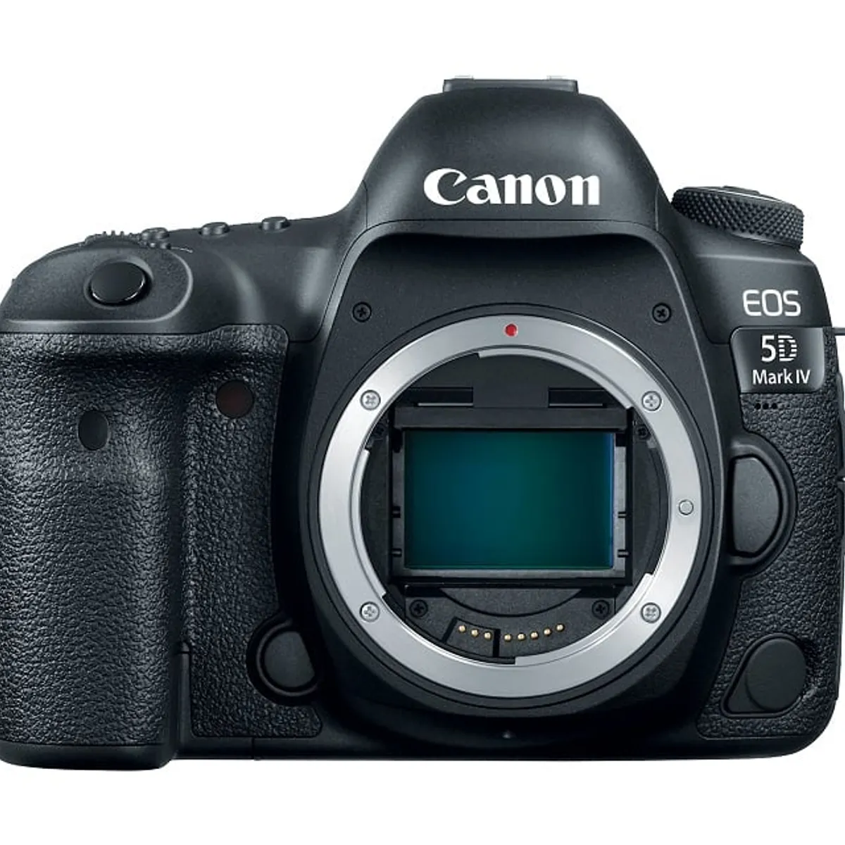 CANON - CAMARA CANON  5D MK IV BODY NEGRA