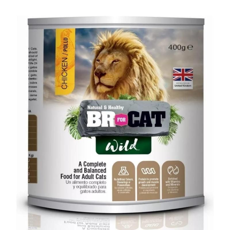 BR - Alimento Lata Br For Cat Wild Chicken X 400g