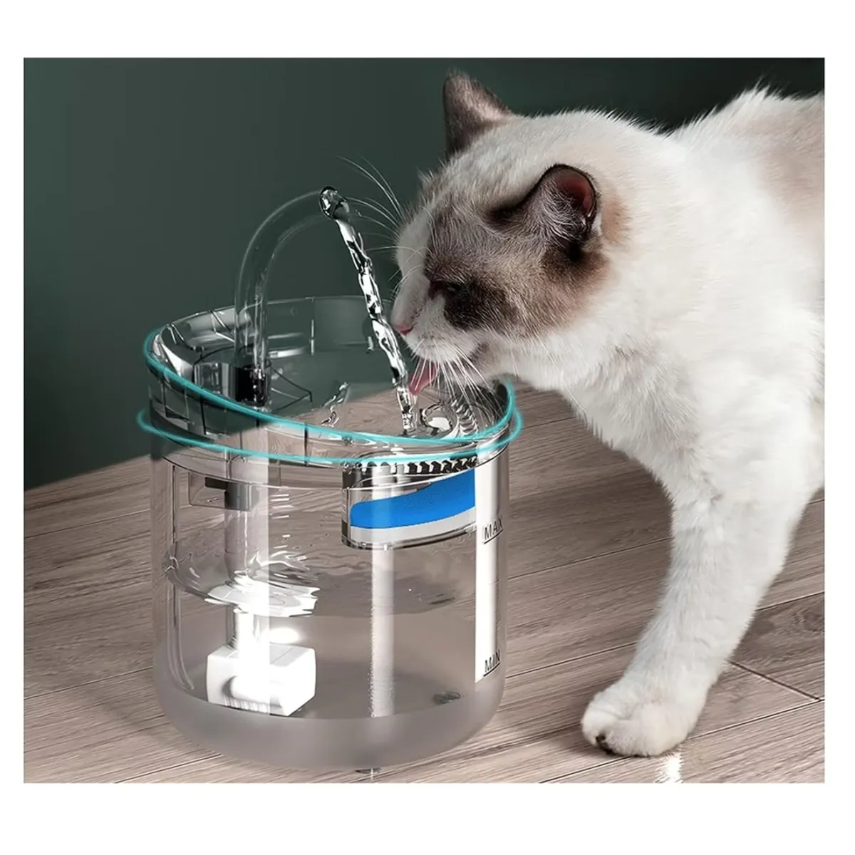 GENERICO - Fuente Transparente para Gatos - Bebedero para Mascotas
