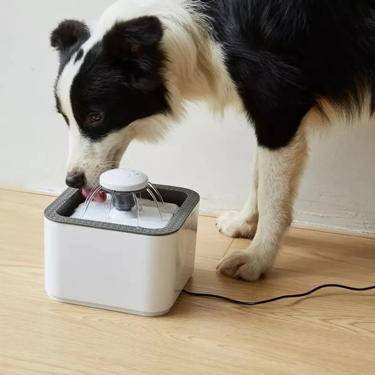 GENERICO - Bebedero Eléctrico para Perros y Gatos - Fuente de Agua