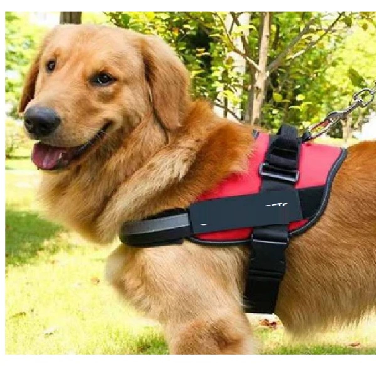 GENERICO - Arnés Pechera Para Perro Antitirones