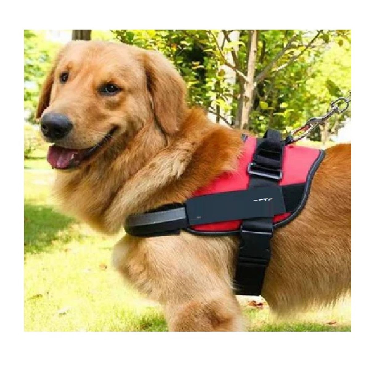 GENERICO - Arnés Pechera Para Perro Antitirones