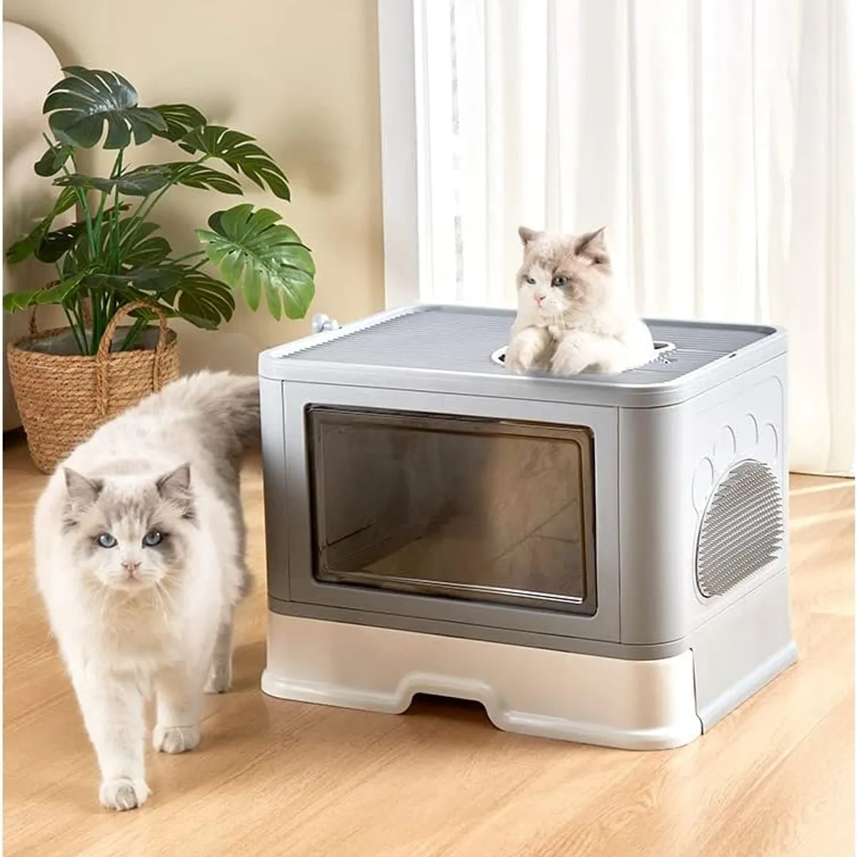 CATLIKE - Arenera Para Gatos Desarmable Con Rascador Azul