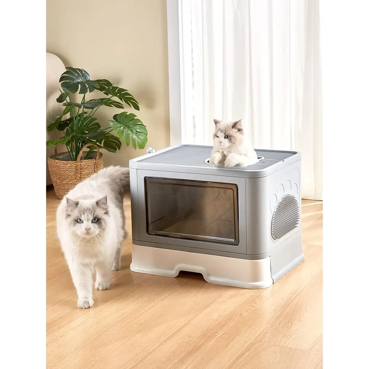 CATLIKE - Arenera Para Gatos Desarmable Con Rascador Azul