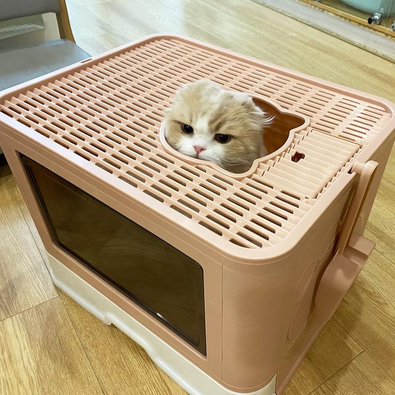 CATLIKE - Arenera Para Gatos Desarmable Con Rascador Rosa