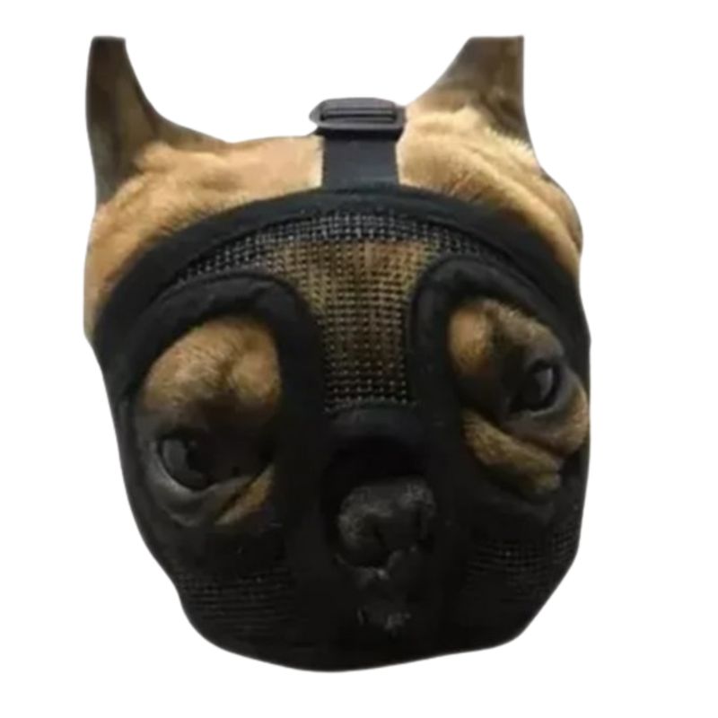 AFM - Bozal Perros Ñatos Bulldog Frances TALLA S