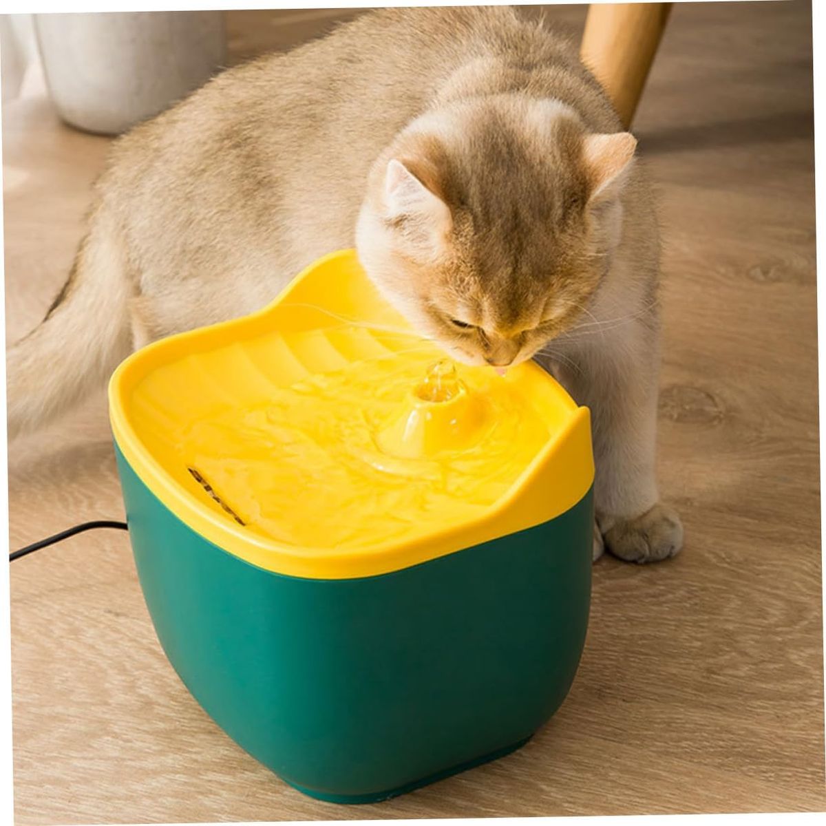 GENERICO - Fuente De Agua Electrica Cara De Gato De 2,5 L