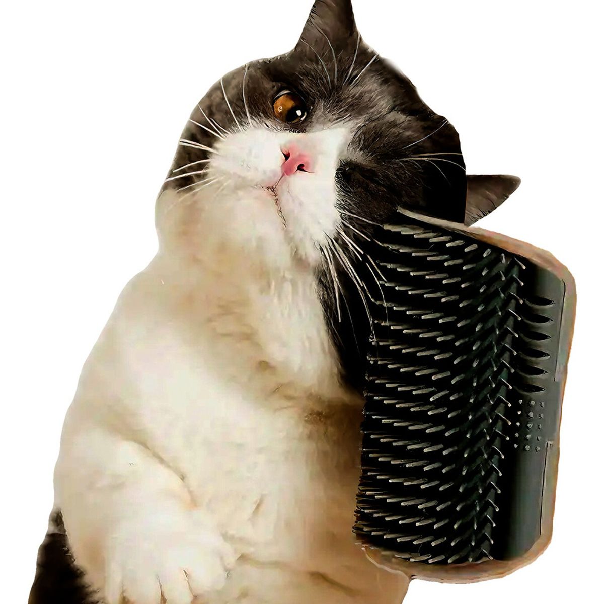 XALTA - Cepillo Peine Masajeador Rascador Esquinero Para Gatos -Gris