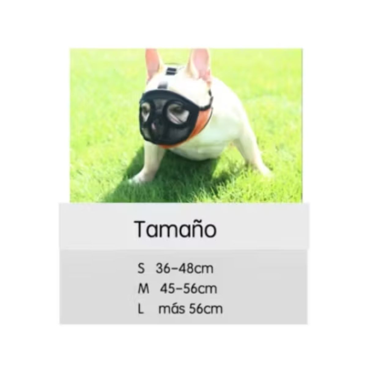 AFM - BOZAL BULLDOG TALLA S