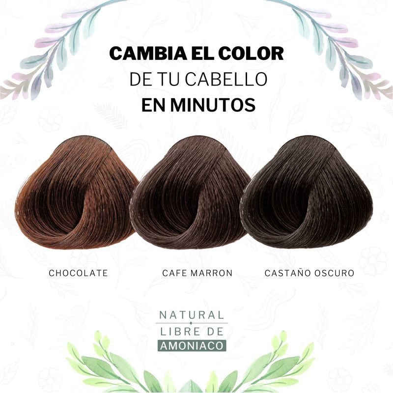 MI COLOR - Shampoo Aclarante Natural Sin Amoniaco Chocolate & Castaño Cubre Canas