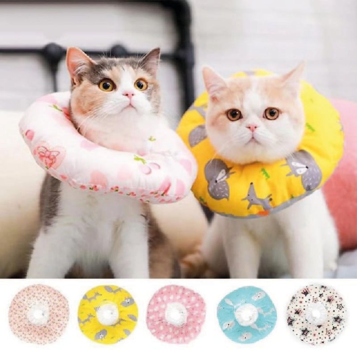 AFM - Collar Isabelino Tipo Dona talla XS