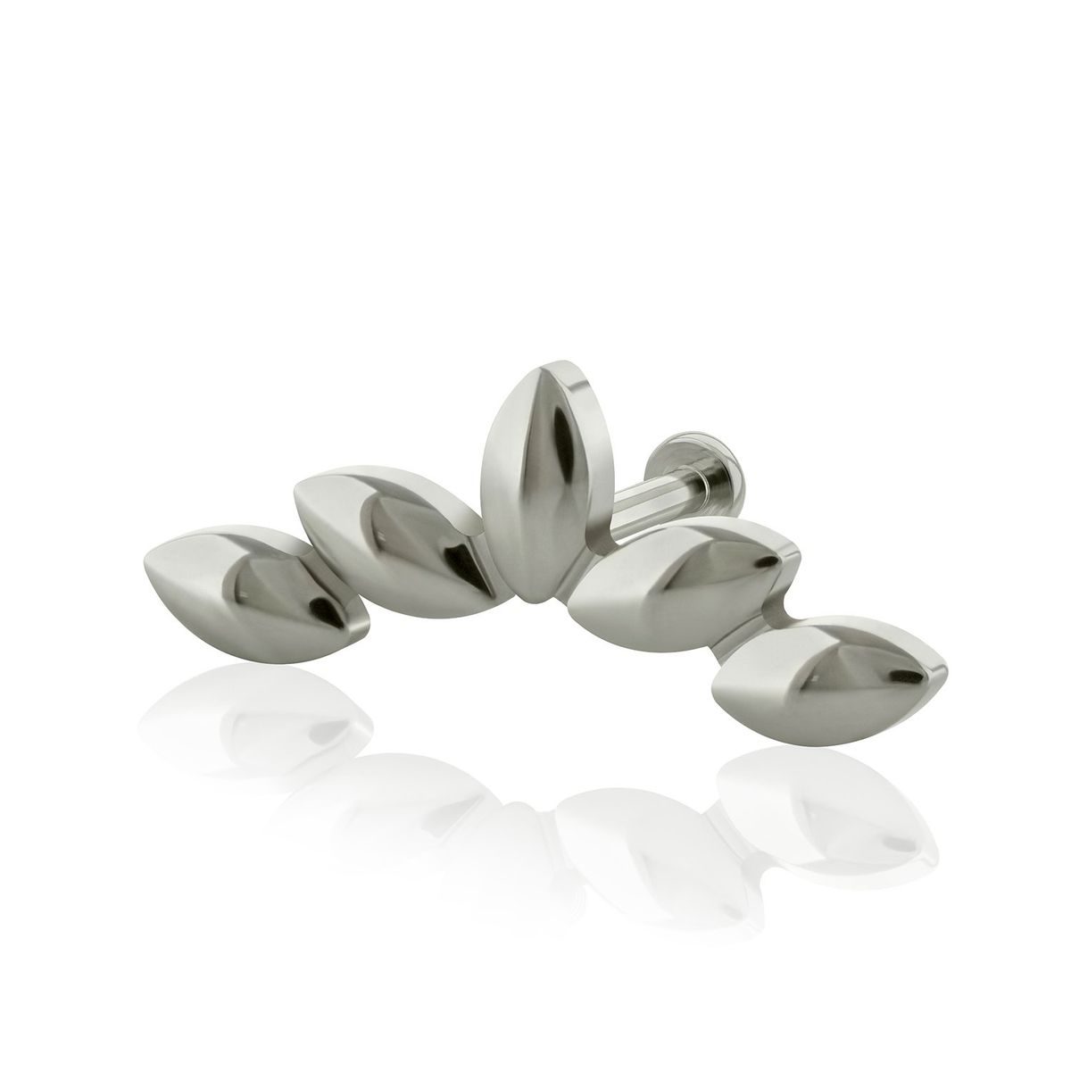AGHA JEWELRY - Titanio Arete piercing Hojas de Olivo para lóbulo