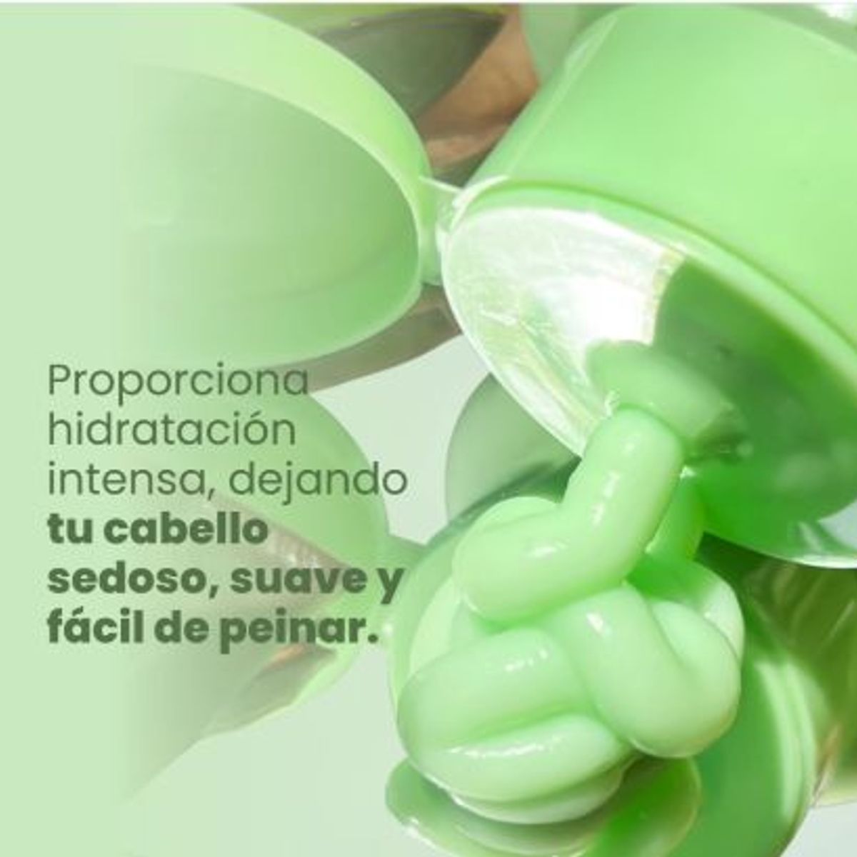 ANYELUZ - Kit de nutricion x6 Anyeluz