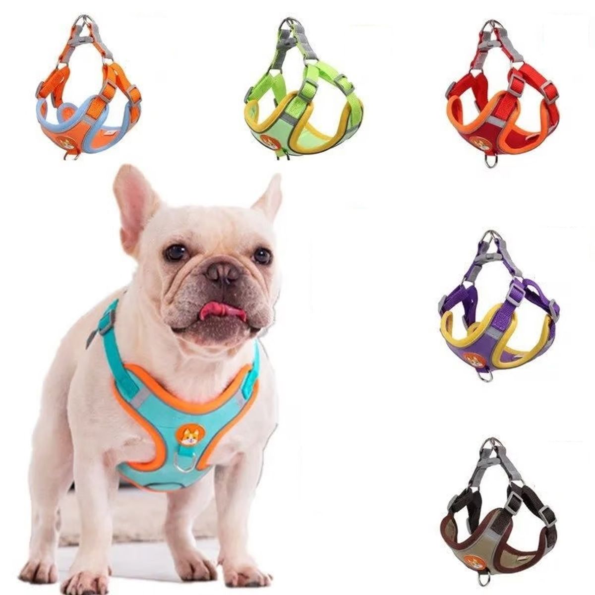 GENERICO - Pechera Premium Raza pequeña talla L  Naranja