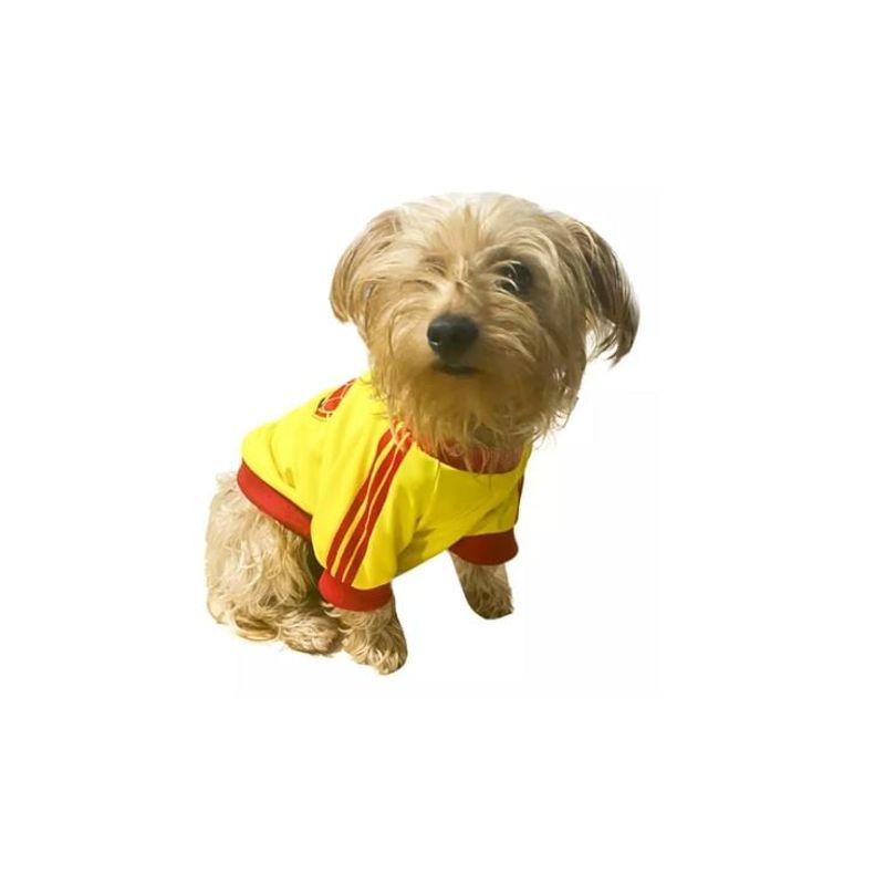 SHEN HUANG - Camisa Ropa Perro Mascota Colombia Copa America Small_.