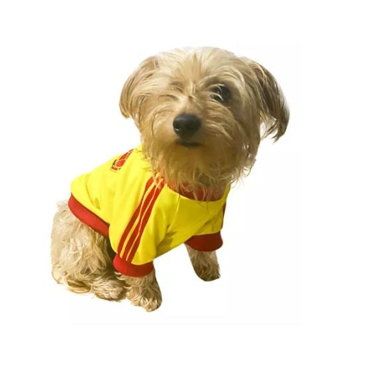 SHENGKE - Camisa Para Mascota Perro Mediano M Colombia Copa America