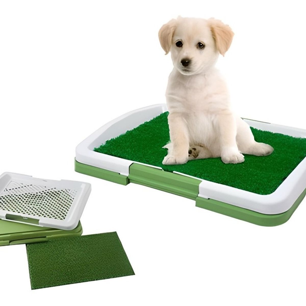 GENERICO - Tapete Pasto Sintetico Entrenamiento Mascotas Baño Lavable