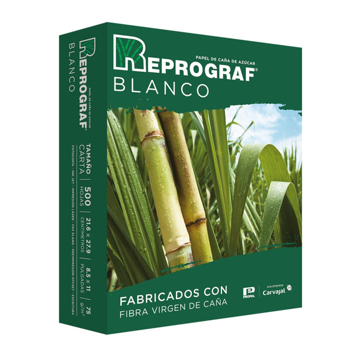 REPROGRAF - CAJA DE PAPEL REPROGRAF CARTA X 10 RESMAS BLANCO 75GR