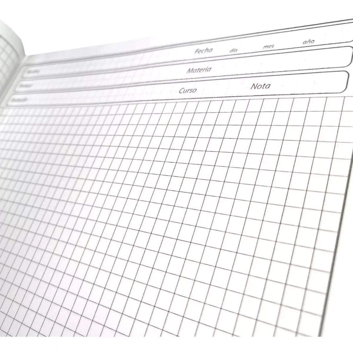 GARABATOS - Paquete Hojas Examen X 100 Hojas Doble Oficio Cuadriculadas