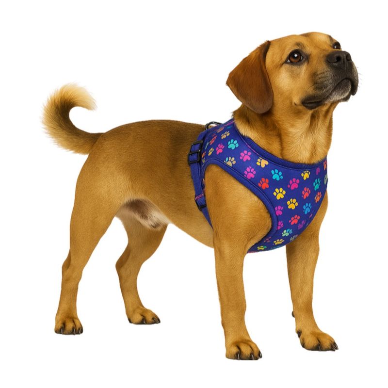 GENERICO - Arnes Estampados Para Perros Chaleco Ajustable