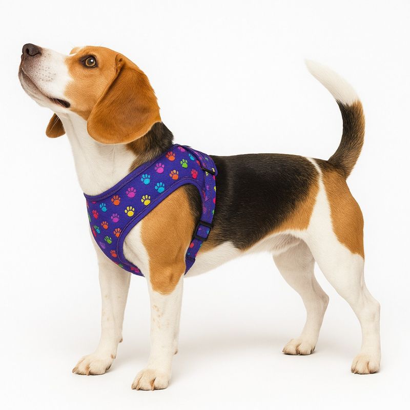 GENERICO - Arnes Estampados Para Perros Chaleco Ajustable