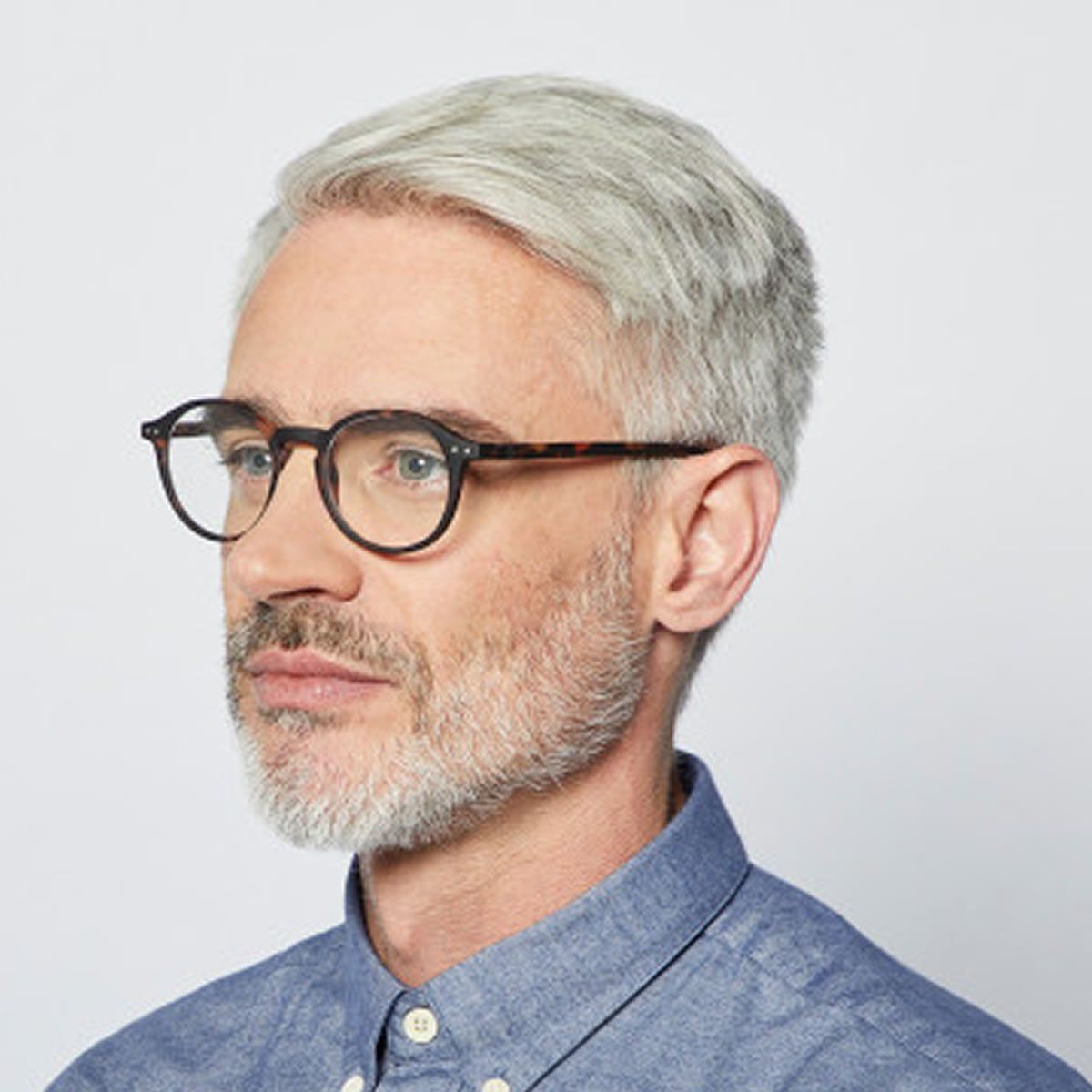 IZIPIZI - Gafas Reading Modelo D Carey +10.---