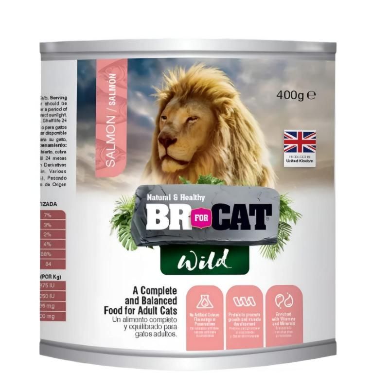 BR - Alimento Lata Br For Cat  Salmon  X 400g