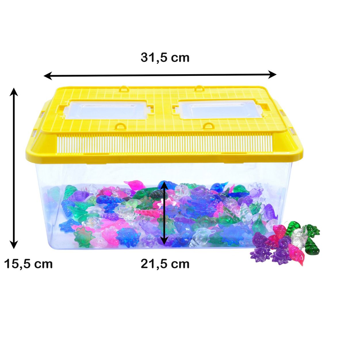 AM MASCOTAS - Acuario Mediano con Conchas Am Mascotas