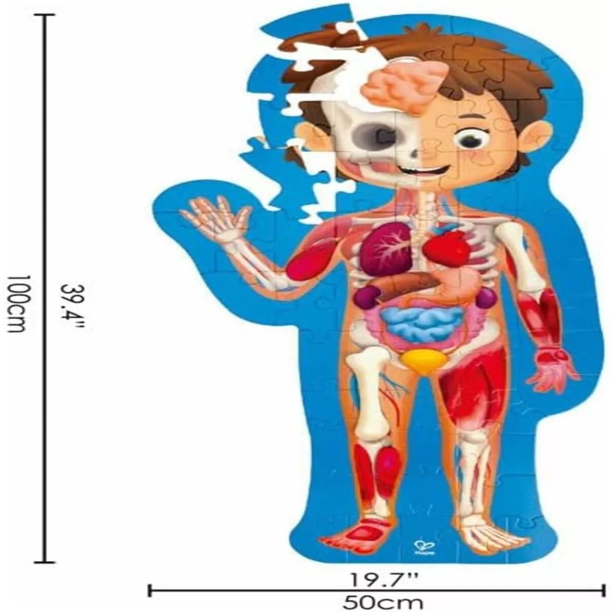 HAPE - Rompecabezas Educativo Del Cuerpo Humano Hape 60 Piezas Niño