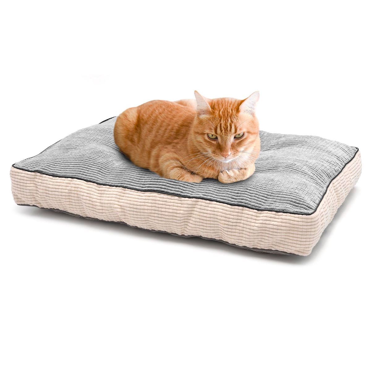 ENERGY PLUS - Cama Colchoneta Premium Vicoelástica para Gatos Confort