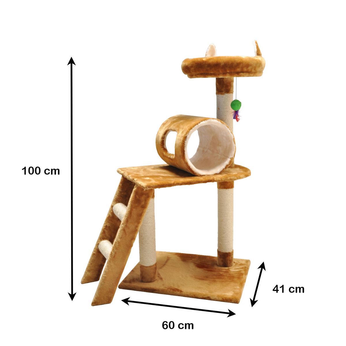 AM MASCOTAS - Gimnasio Escalera Am Mascotas