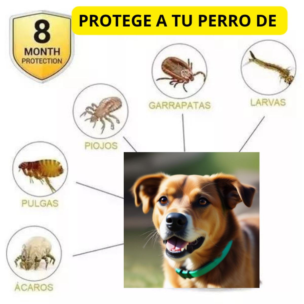 GENERICO - COLLAR ANTIPULGAS PARA GATOS