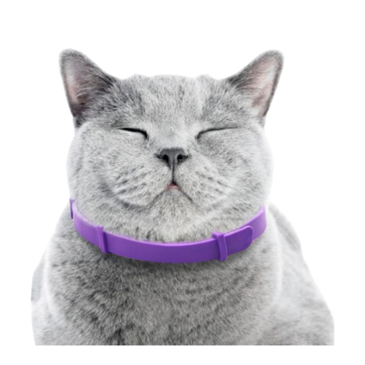 PETS ACCESORIOS - Collar Gato Relajante Feromonas Anti Estres Calma Mascotas